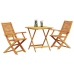 Conjunto de Bistro Plegable de 3 Piezas de Madera de Acacia
