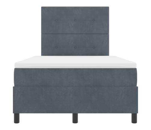 Cama con Box Spring y Colchón Gris Oscuro 120x200 cm de Terciopelo