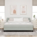 Cama con somier y colchón  Gris Claro 180x200 cm Terciopelo