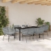 Set de Comedor de Jardín  de 2 Piezas con Cojines Gris Poliratán