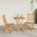 Conjunto de Bistro de Jardín de 3 Piezas  de Madera Sólida de Acacia