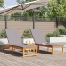 Tumbonas 2 pcs con Cojines de Madera Maciza de Acacia,  Tumbona con Cojines Gris Claro de Madera Maciza de Acacia
