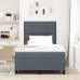 Cama con Box Spring y Colchón Gris Oscuro 120x200 cm de Terciopelo