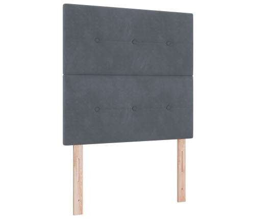 Cama con Box Spring y Colchón Gris Oscuro 120x200 cm de Terciopelo