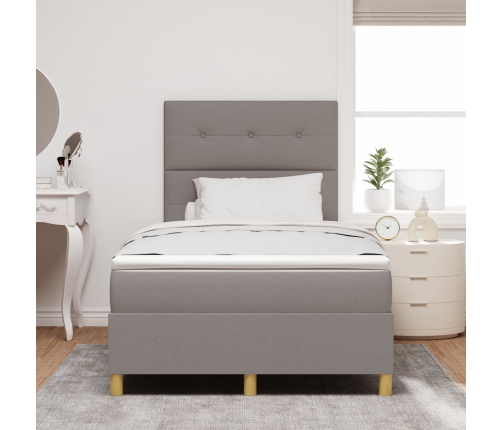 Cama con Box Spring y Colchón Taupe 120x200 cm Tela