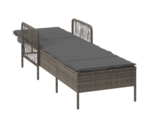 Tumbona  Gris y gris oscuro Ratán PE 157 x 55 x 92 cm Tumbona