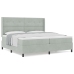 Cama con Box Spring y Colchón  Gris Claro 200x200 cm Terciopelo