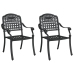 Sillas de jardín  2 pcs negras de aluminio fundido