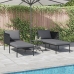 Tumbona  con cojines para 2 personas Anthracite 115x153x69,5 cm Acero