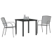 Set de comedor de jardín de 3 piezas  Acero Antracita