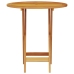 Juego de Bistro Plegable de 3 Piezas en Madera Maciza de Acacia