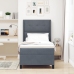 Cama con Box Spring y Colchón  Gris Oscuro 100x200 cm de Terciopelo