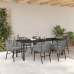 Conjunto de comedor de jardín de 7 piezas  Gris Ratán Sintético