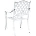 Sillas de Jardín  2 pcs de Aluminio Fundido Blanco