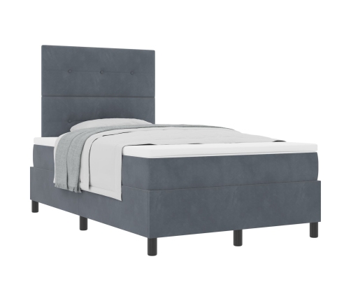 Cama con Box Spring y Colchón Gris Oscuro 120x200 cm de Terciopelo