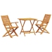 Conjunto de Bistro Plegable de 3 Piezas de Madera de Acacia