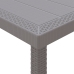 Juego de Comedor de Jardín de 9 Piezas con Cojines de Rattan Blanco