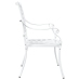Sillas de Jardín  2 pcs de Aluminio Fundido Blanco