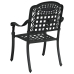 Sillas de jardín  2 pcs negras de aluminio fundido