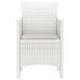 Silla de Jardín  Conjunto de 4 Blanco Ratán Estándar Duraderas