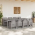 Juego de Comedor de Jardín de 9 Piezas con Cojines de Rattan Blanco
