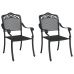 Sillas de Jardín  2 pcs Negras de Aluminio