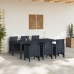 Conjunto de Comedor de Jardín de 7 Piezas  Antracita Ratan Polipropileno