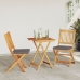 Conjunto de Bistro de Jardín de 3 Piezas  en Madera Sólida de Acacia