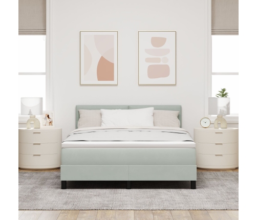 Cama con Box Spring y Colchón  Gris Claro 160x200 cm Terciopelo