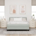 Cama con Box Spring y Colchón  Gris Claro 160x200 cm Terciopelo