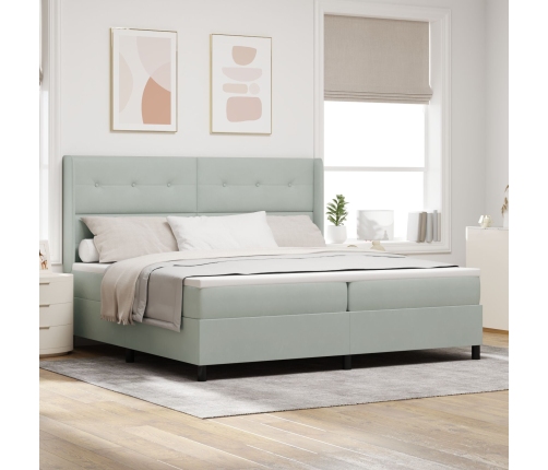 Cama con Box Spring y Colchón  Gris Claro 200x200 cm Terciopelo