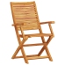 Juego de Bistro Plegable de 3 Piezas de Madera Maciza de Acacia