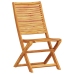 Juego de Bistro Plegable de 3 Piezas en Madera Maciza de Acacia