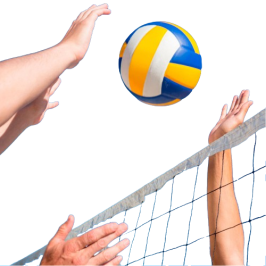 Voleibol