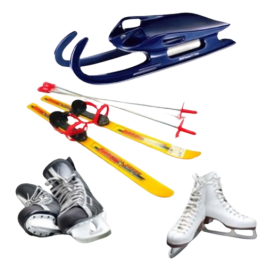 Winter sport