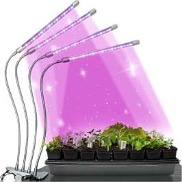 Sprouters, grow lights